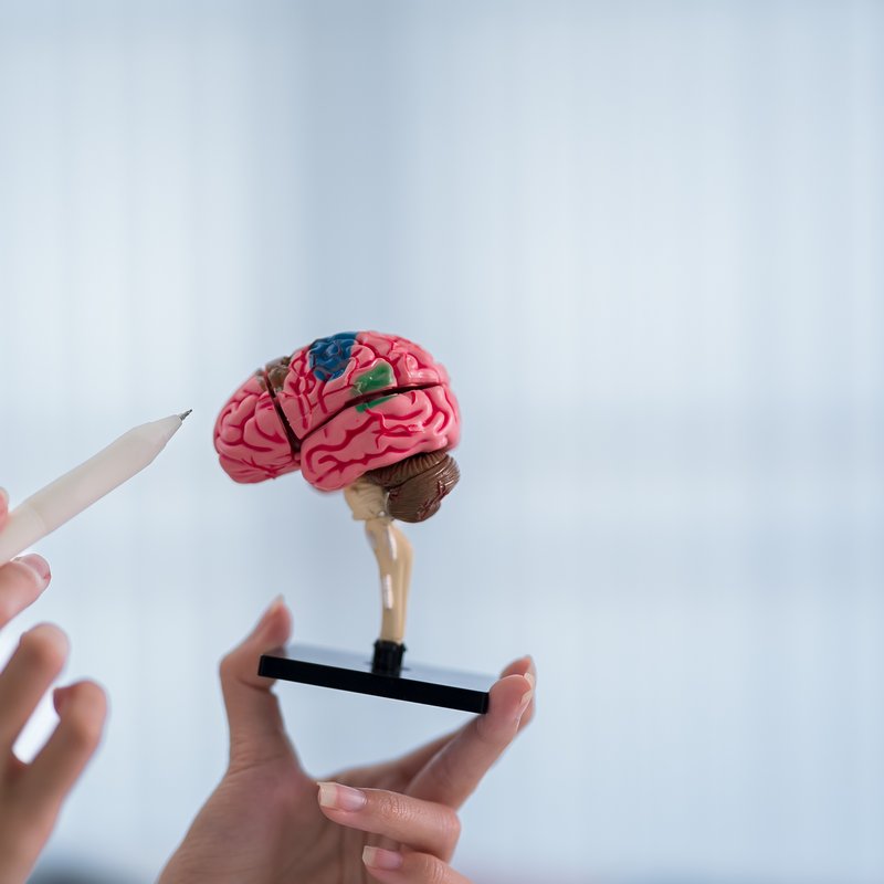 Formation coach en neurosciences