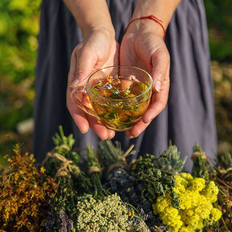 Formation conseiller en phytothérapie