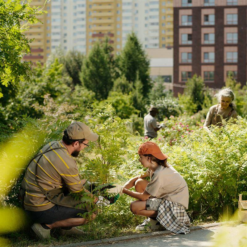 Formation consultant en agriculture urbaine