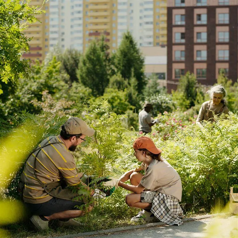 Illustration formation consultant en agriculture urbaine