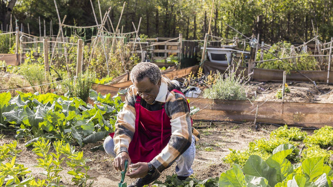 Illustration formation consultant en agriculture urbaine