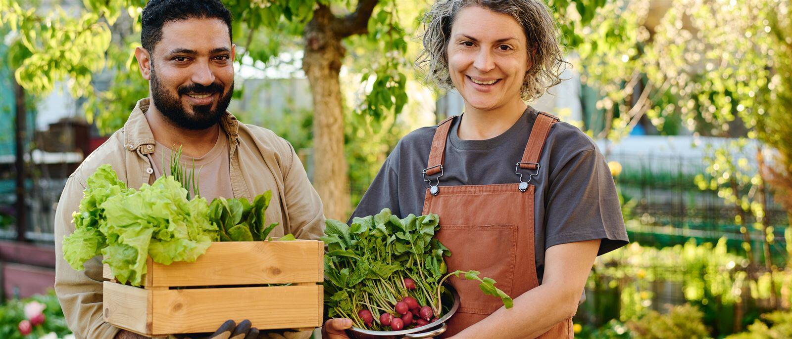 Illustration formation consultant en agriculture urbaine