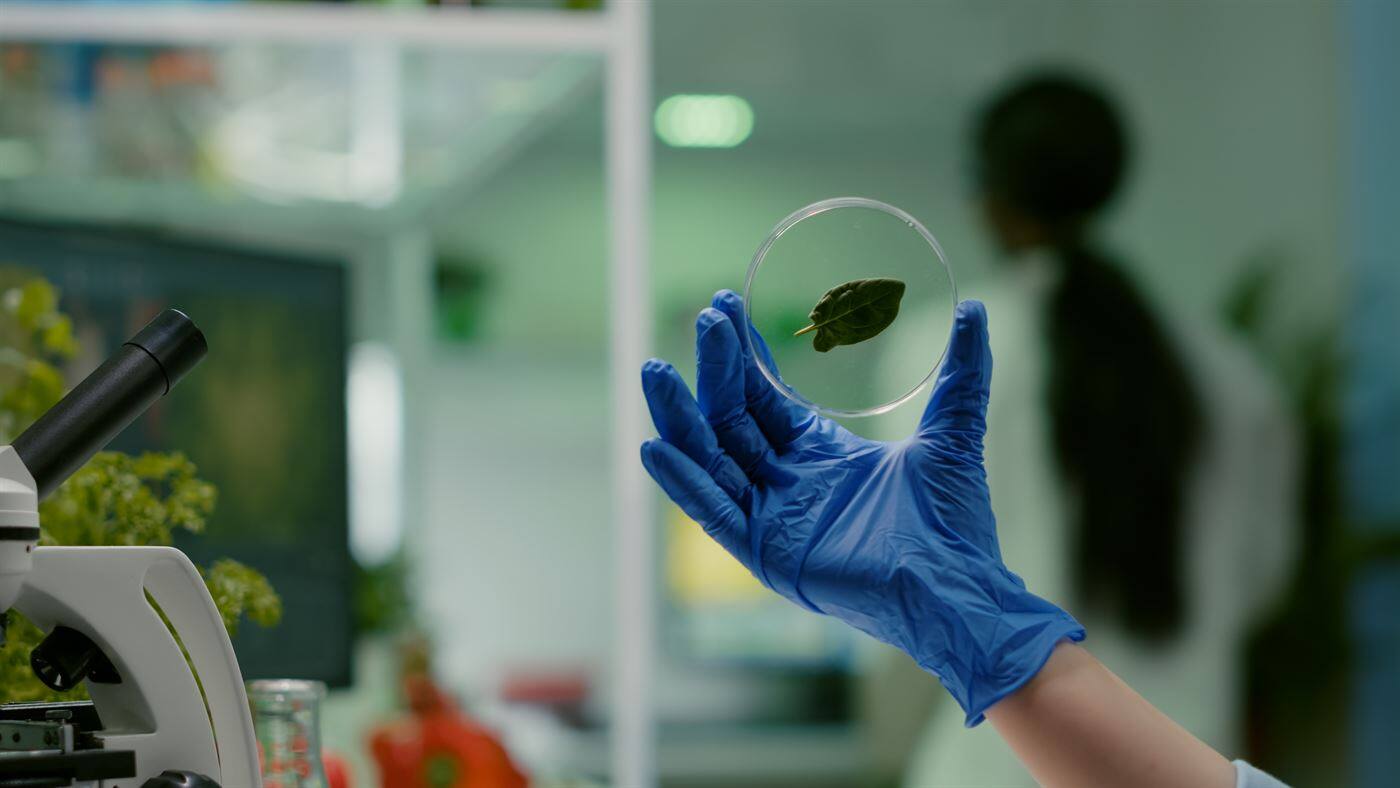 Formation consultant en géobiologie