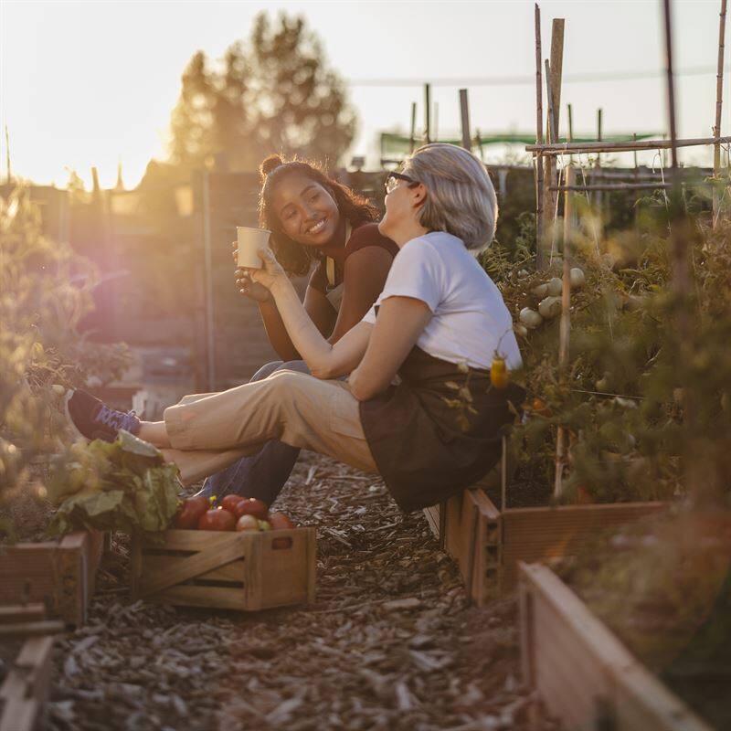Formation consultant en permaculture