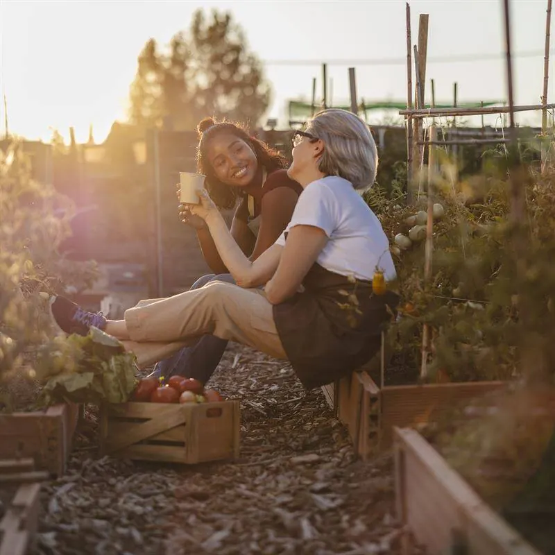 Illustration formation consultant en permaculture