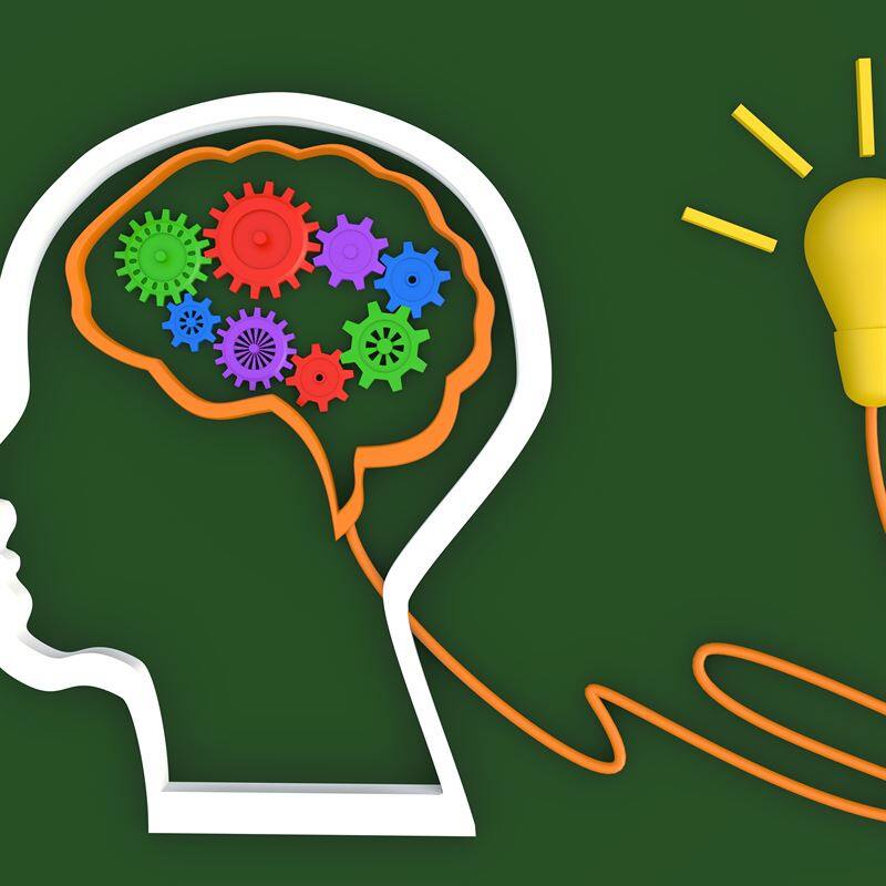 Formation neuropédagogie