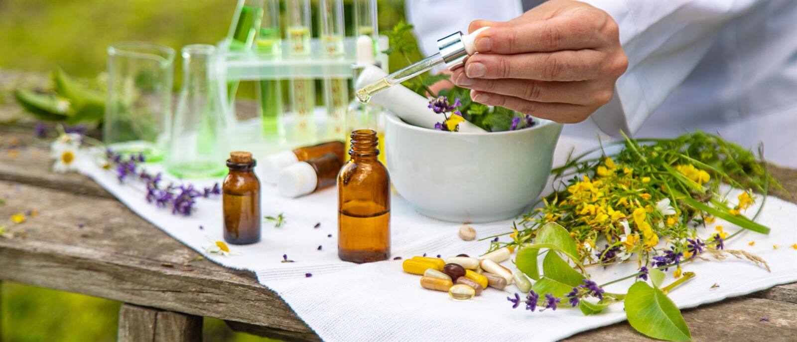 Illustration formation praticien en naturopathie